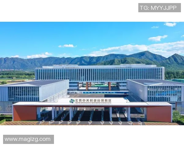 北京排球队比赛经验的创新与变革引发热议 北京排球队比赛经验的创新与变革引发热议