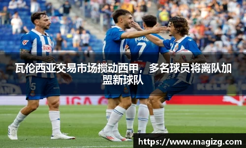 瓦伦西亚交易市场搅动西甲，多名球员将离队加盟新球队